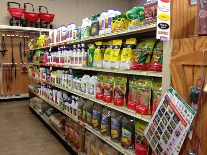 19 items, which should not be thrown in the trash 19 items, which should not be thrown in the trash