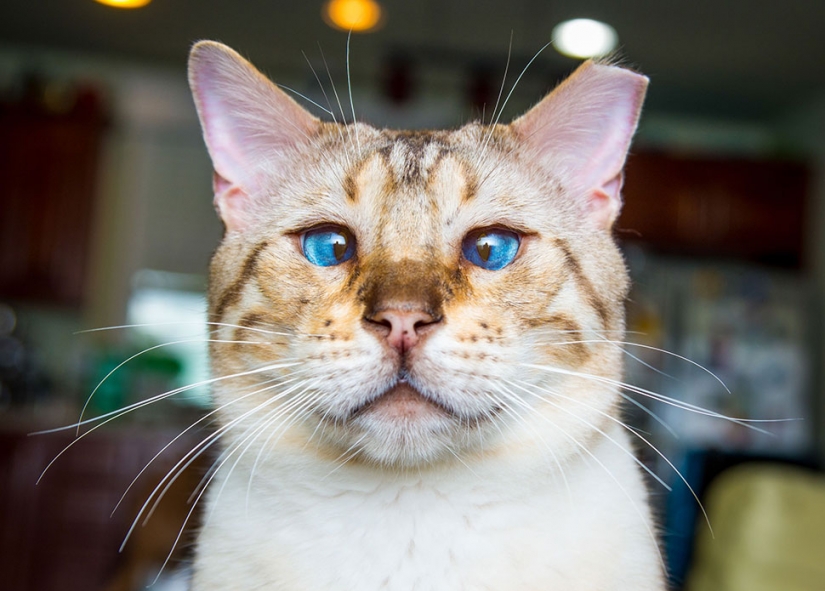 19 stories from pregnant women about how a big belly puts pressure on the brain 19 stories from pregnant women about how a big belly puts pressure on the brain