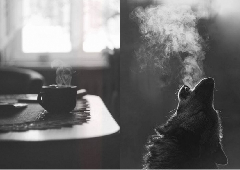 20 black and white shots, in which the photographers left a piece of my soul