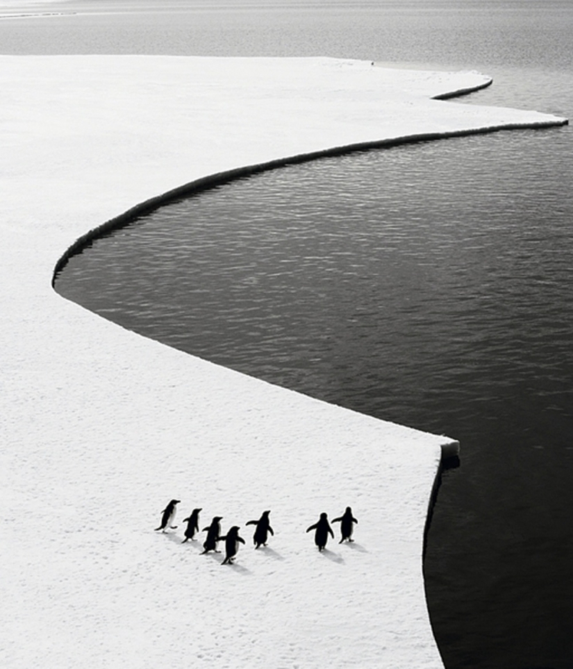 20 black and white shots, in which the photographers left a piece of my soul