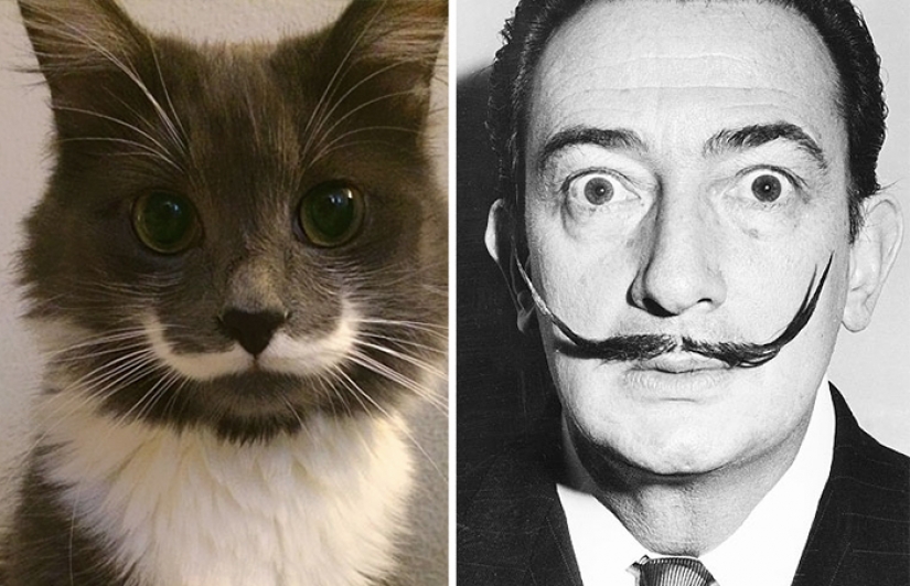 20 celebrities and their animal counterparts