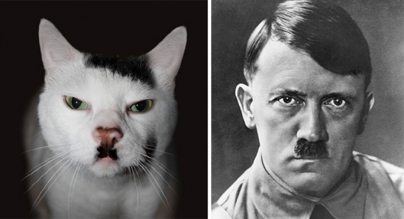 20 celebrities and their animal counterparts