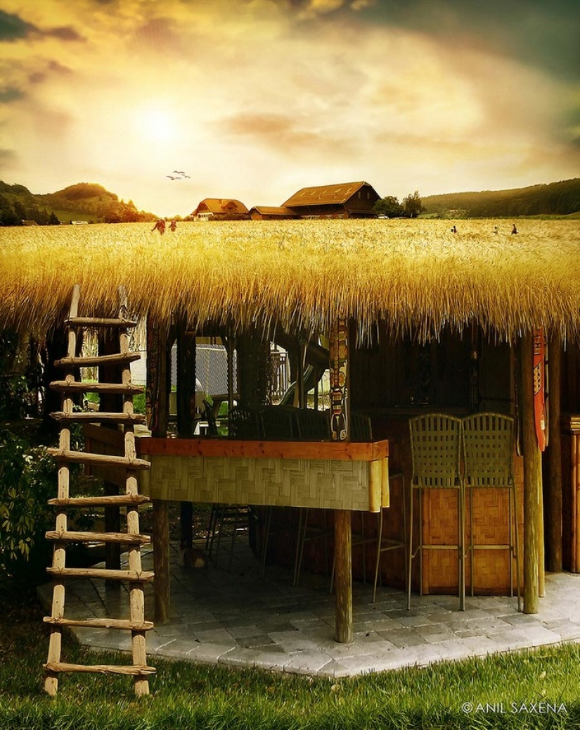 20 divertidas manipulaciones fotográficas por el artista digital Anil Saxen 20 divertidas manipulaciones fotográficas por el artista digital Anil Saxen