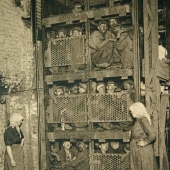 20 historical photographs that bring the past to life