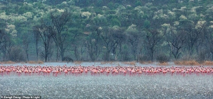 20 impresionantes fotos de los ganadores del concurso de Fotografía Photo Is Light World 20 impresionantes fotos de los ganadores del concurso de Fotografía Photo Is Light World