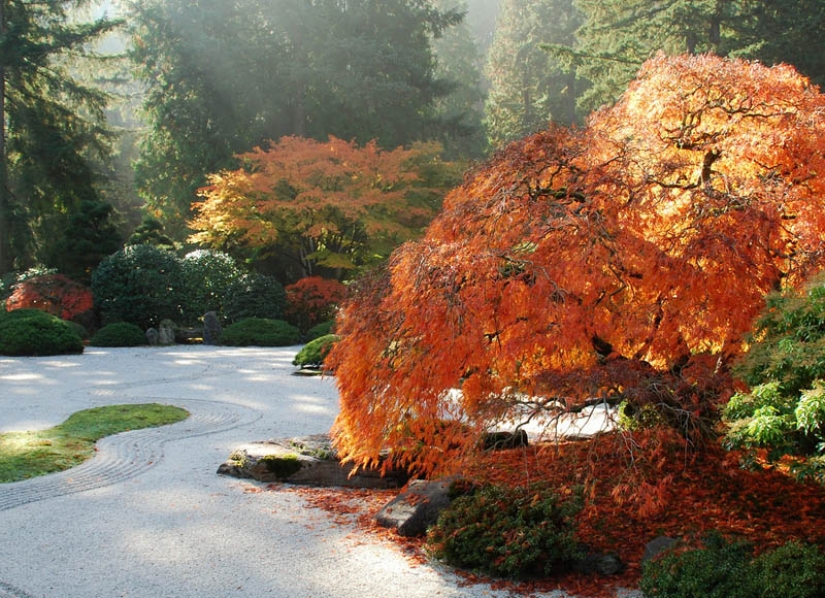 20 Japanese gardens from around the world 20 Japanese gardens from around the world