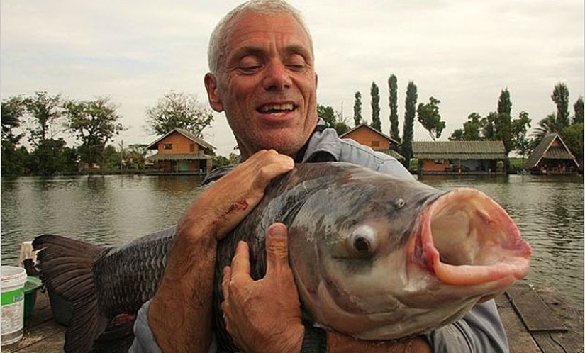 20 la mayoría de los increíbles monstruos de río 20 la mayoría de los increíbles monstruos de río