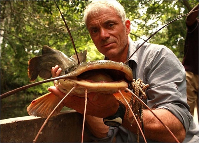 20 la mayoría de los increíbles monstruos de río 20 la mayoría de los increíbles monstruos de río