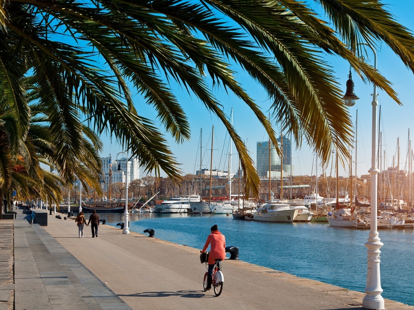 20 most cycling cities in the world