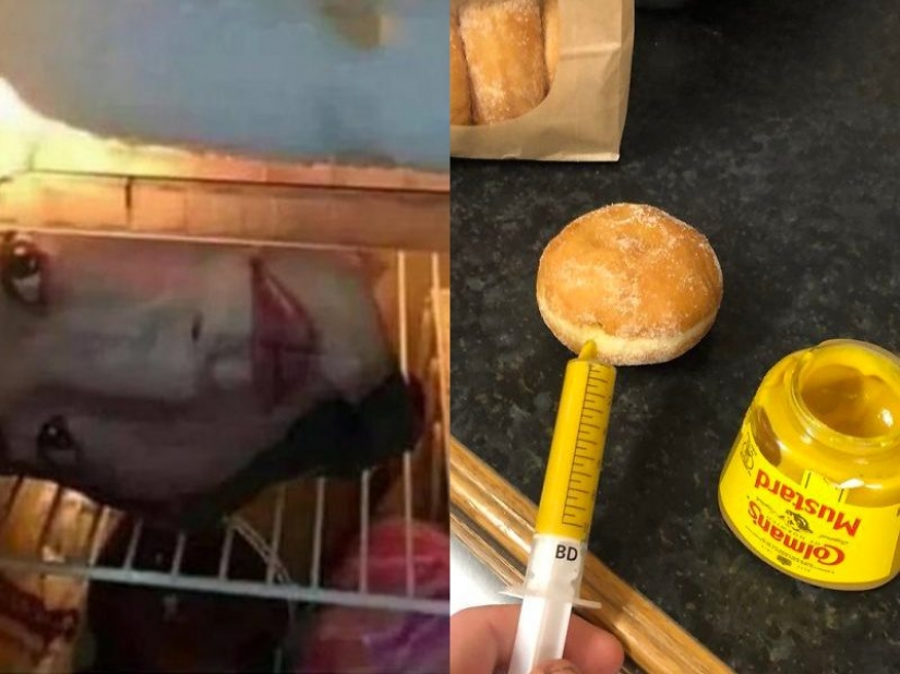 20 photos proving that people were much more stylish in the past