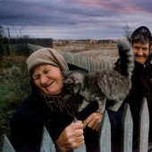 20 photos you can't look at without a smile