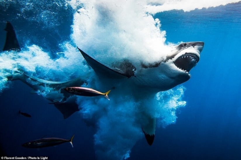 20 stunning photos from the winners of the Photo Is Light World Photography contest