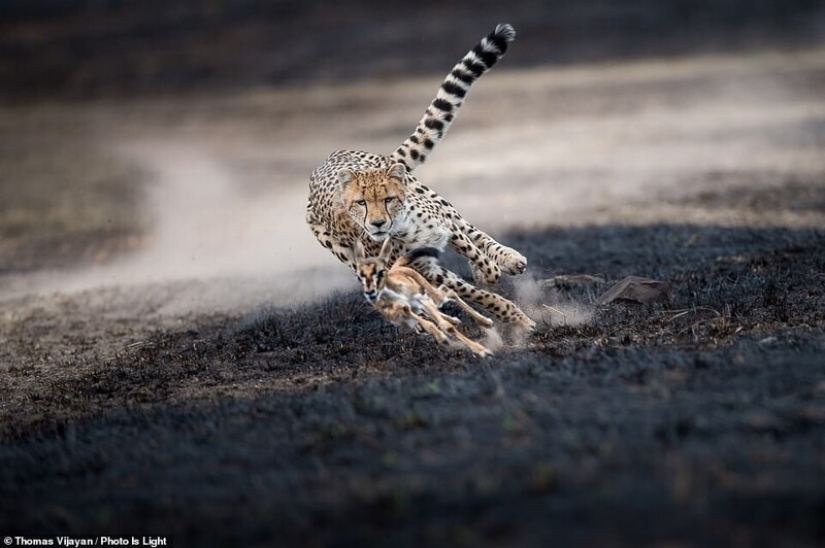 20 stunning photos from the winners of the Photo Is Light World Photography contest