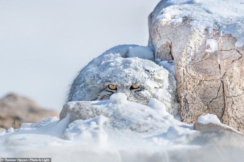 20 stunning photos from the winners of the Photo Is Light World Photography contest