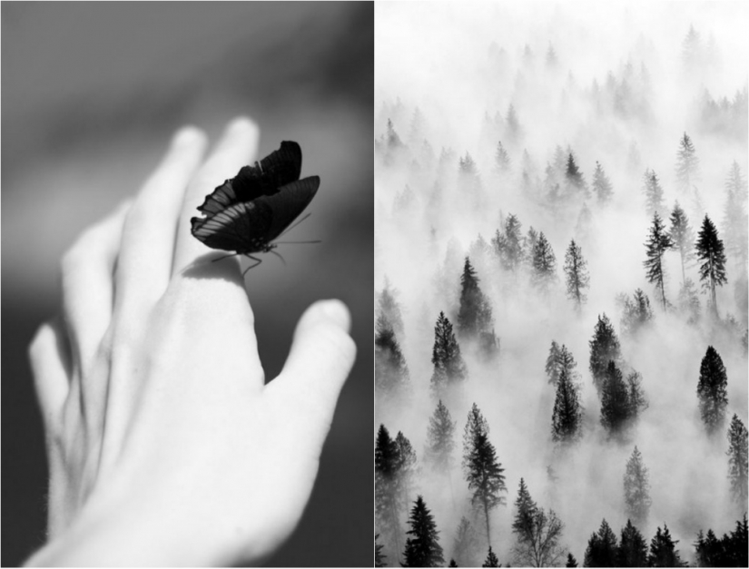 20 tomas en blanco y negro, en la que los fotógrafos a la izquierda un trozo de mi alma