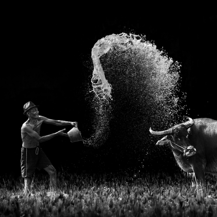 20 tomas en blanco y negro, en la que los fotógrafos a la izquierda un trozo de mi alma