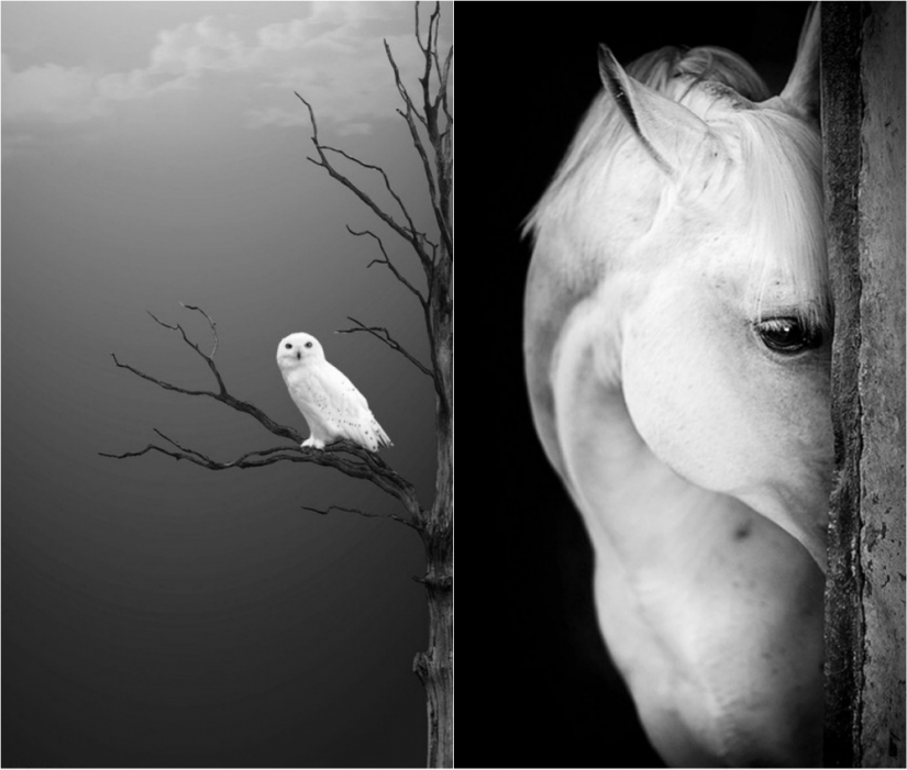 20 tomas en blanco y negro, en la que los fotógrafos a la izquierda un trozo de mi alma
