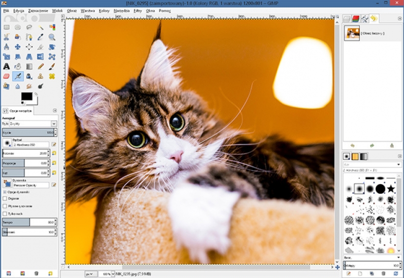 20 useful tips for a beginner photographer 20 useful tips for a beginner photographer