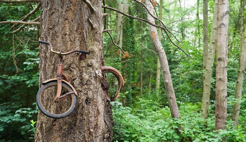21 ejemplos, cuando la naturaleza de la civilización