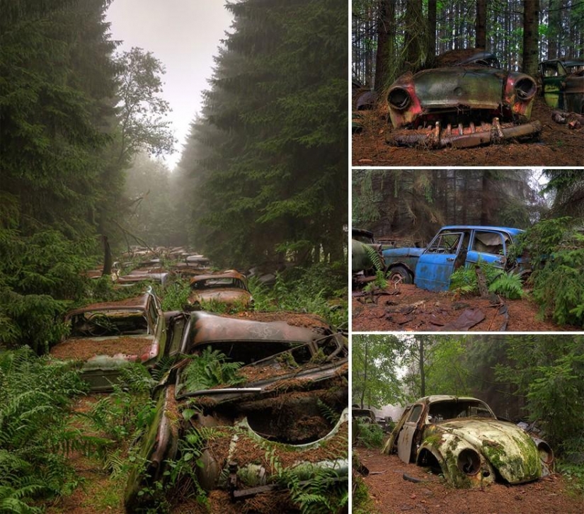 21 ejemplos, cuando la naturaleza de la civilización