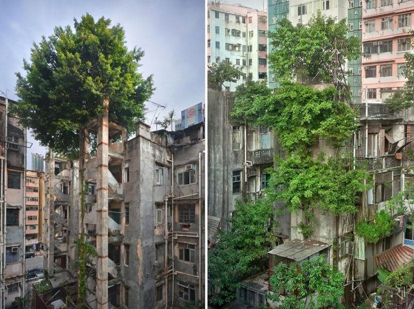 21 ejemplos, cuando la naturaleza de la civilización