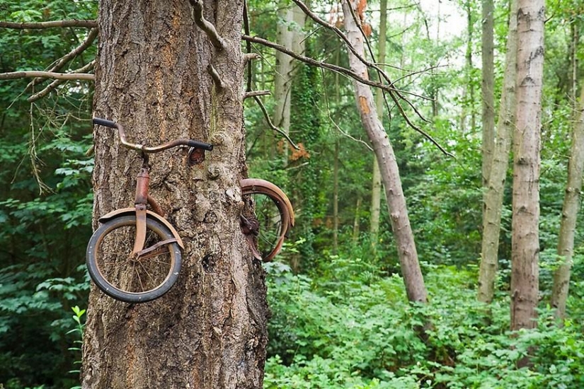 21 ejemplos, cuando la naturaleza de la civilización