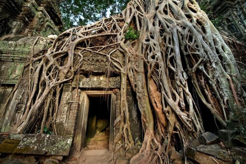 21 examples when the nature civilization