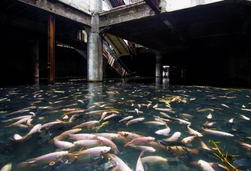 21 examples when the nature civilization