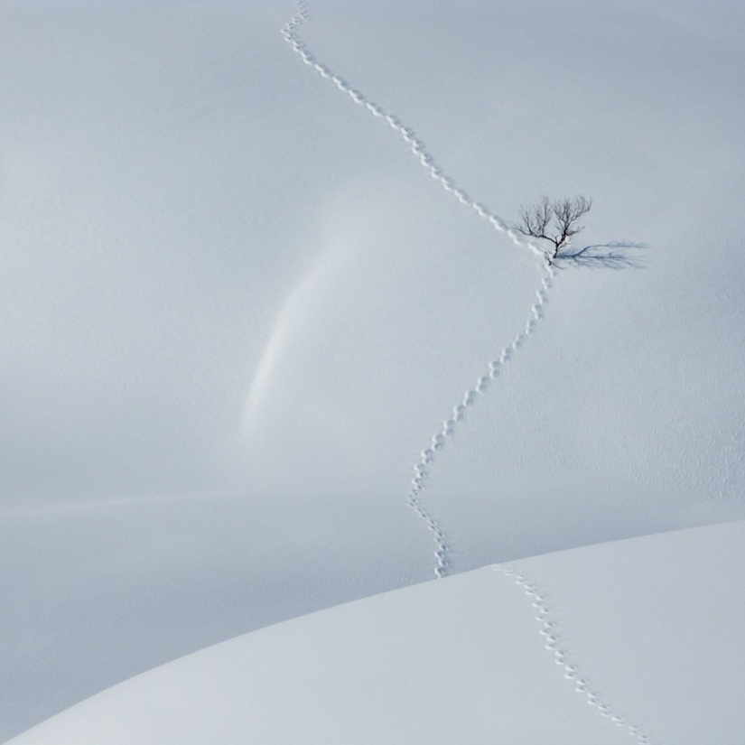 21 fotos para aquellos que entienden el minimalismo 21 fotos para aquellos que entienden el minimalismo