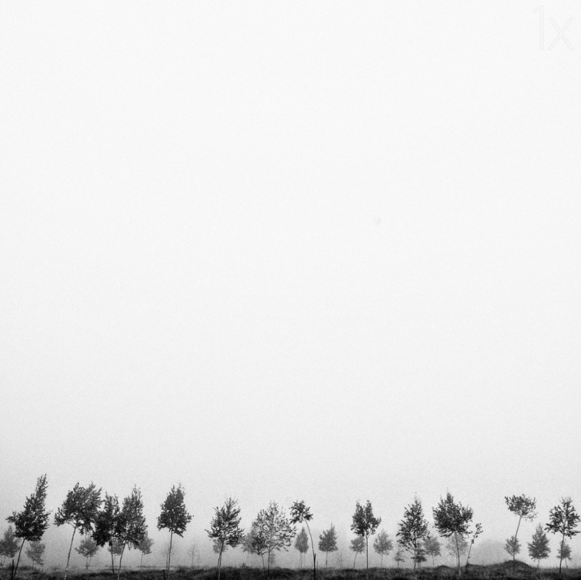 21 photos for those who understand minimalism