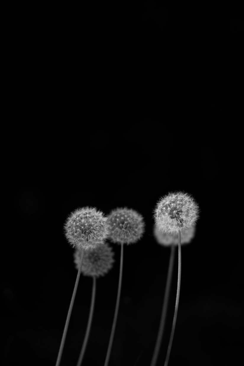 21 photos for those who understand minimalism