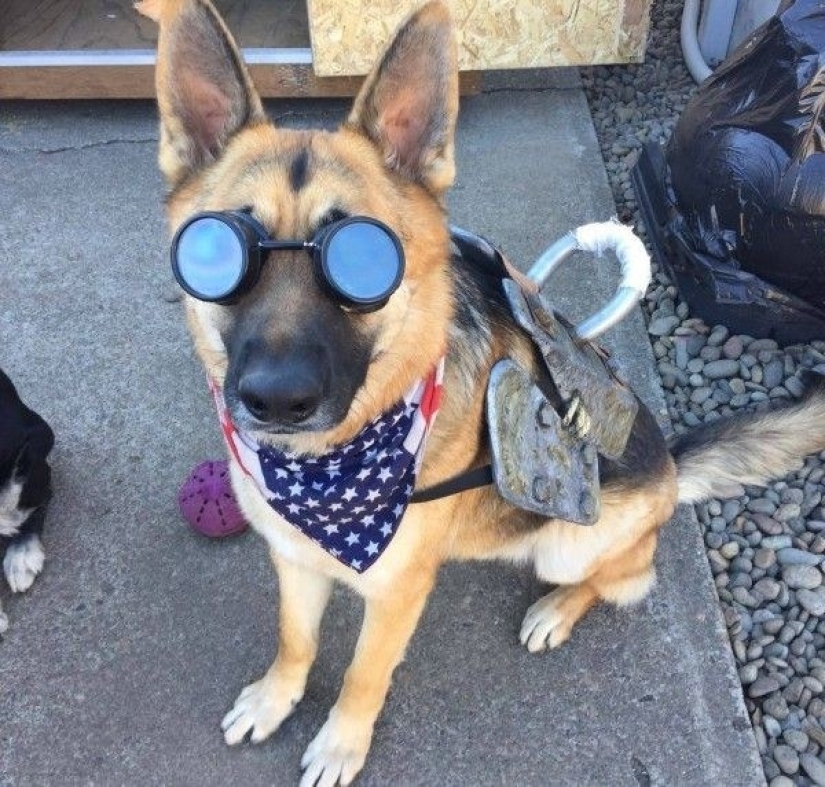 22 desperate video game fans take them to real life 22 desperate video game fans take them to real life