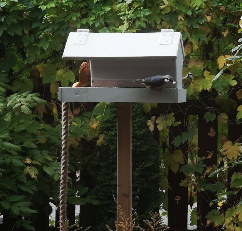 22 strong-armed fathers who didn't waste time in quarantine 22 strong-armed fathers who didn't waste time in quarantine