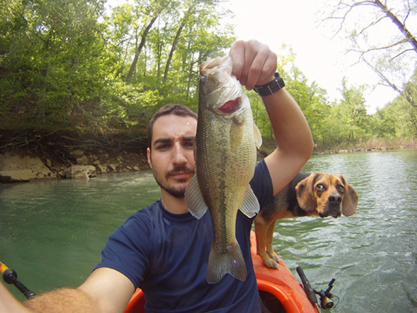 23 perros que son genios de la foto bomba