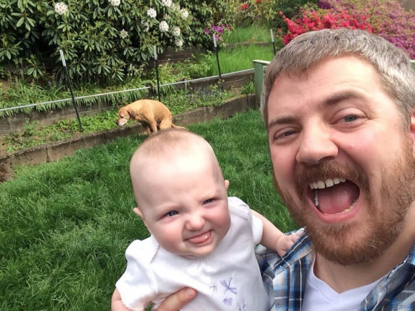 23 perros que son genios de la foto bomba