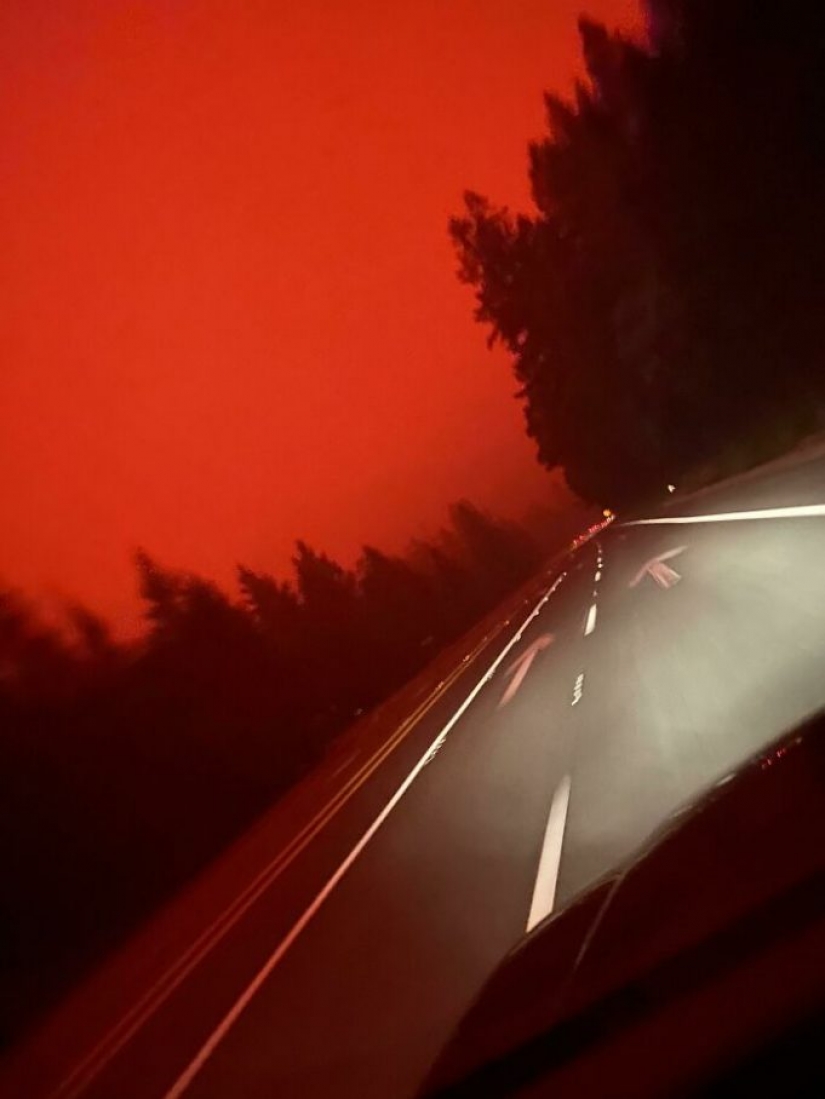 24 ocasiones en las que la naturaleza hizo que la gente dijera "bueno, eso apesta"