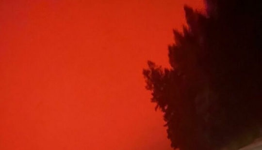 24 ocasiones en las que la naturaleza hizo que la gente dijera "bueno, eso apesta"