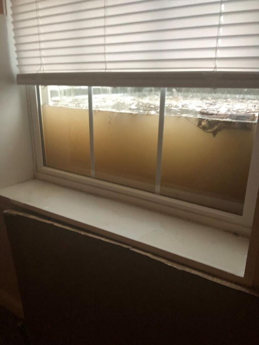 24 times nature made people say "well, that sucks" 24 times nature made people say "well, that sucks"