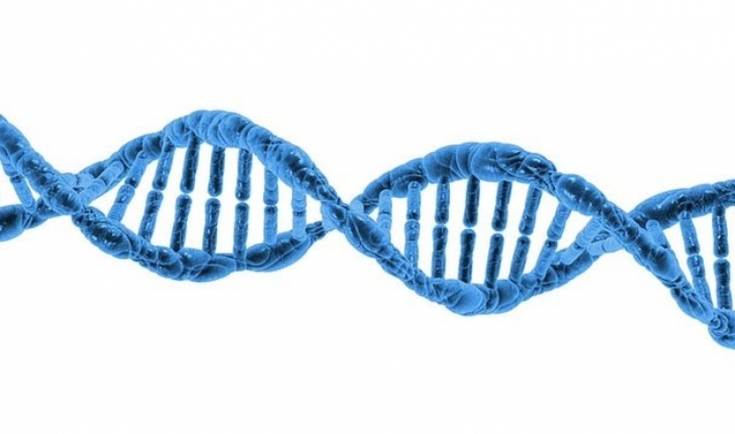 25 books that correctly predicted the future