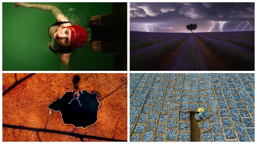 25 impresionantes fotos de los finalistas de los Sony World Photography Awards 2021