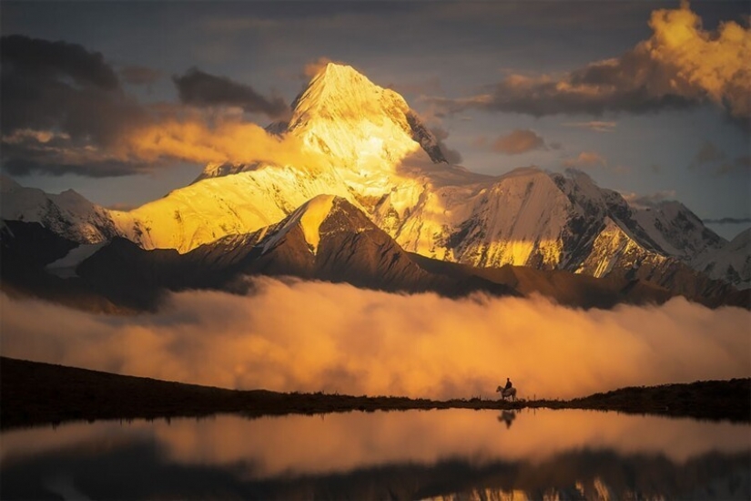 25 impresionantes fotos de los finalistas de los Sony World Photography Awards 2021