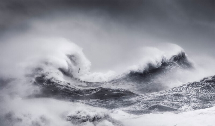 25 impresionantes fotos de los finalistas de los Sony World Photography Awards 2021
