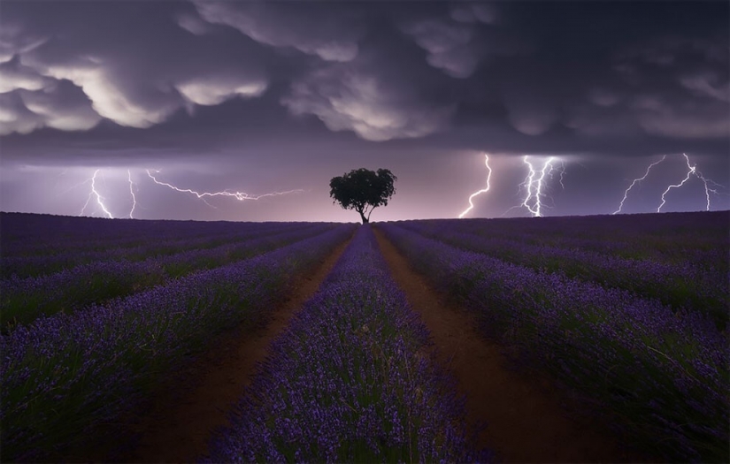 25 impresionantes fotos de los finalistas de los Sony World Photography Awards 2021