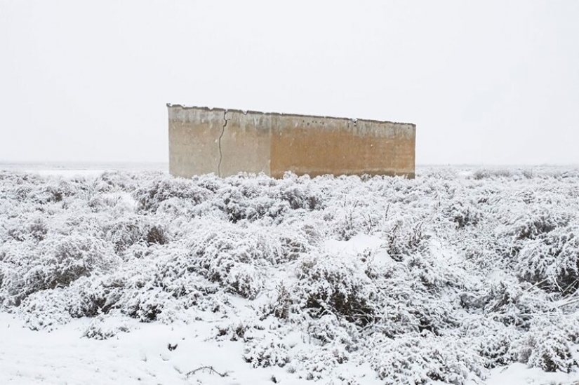 25 impresionantes fotos de los finalistas de los Sony World Photography Awards 2021