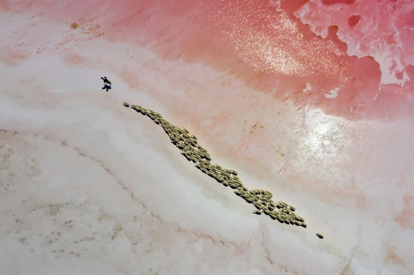 25 impresionantes fotos de los finalistas de los Sony World Photography Awards 2021