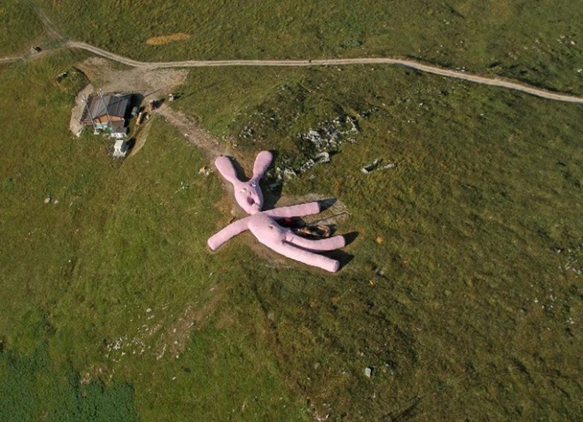 25 of the Craziest Shots Taken on Google Street View Cameras