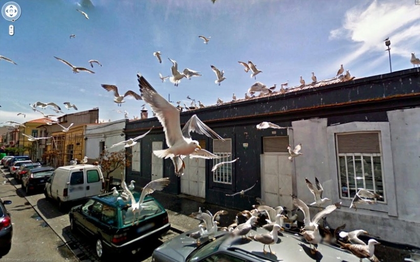 25 of the Craziest Shots Taken on Google Street View Cameras