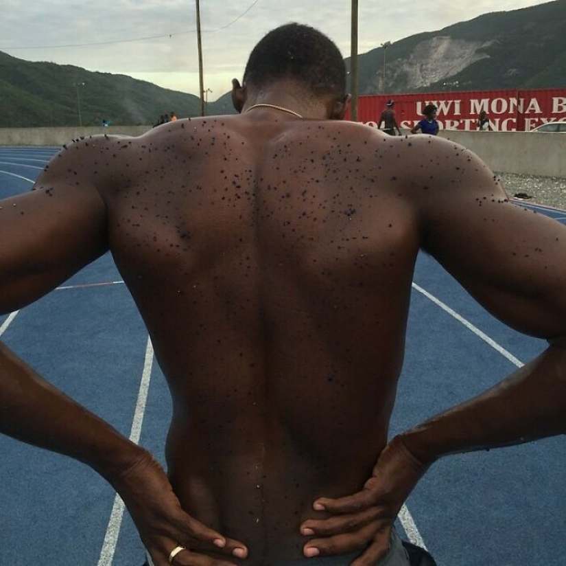 25 raras fotos de los olímpicos que muestran lo que está sucediendo detrás de las escenas de los grandes deportes