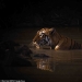 26 impressive shots of the winners Nature World Photography Awards 26 impressive shots of the winners Nature World Photography Awards