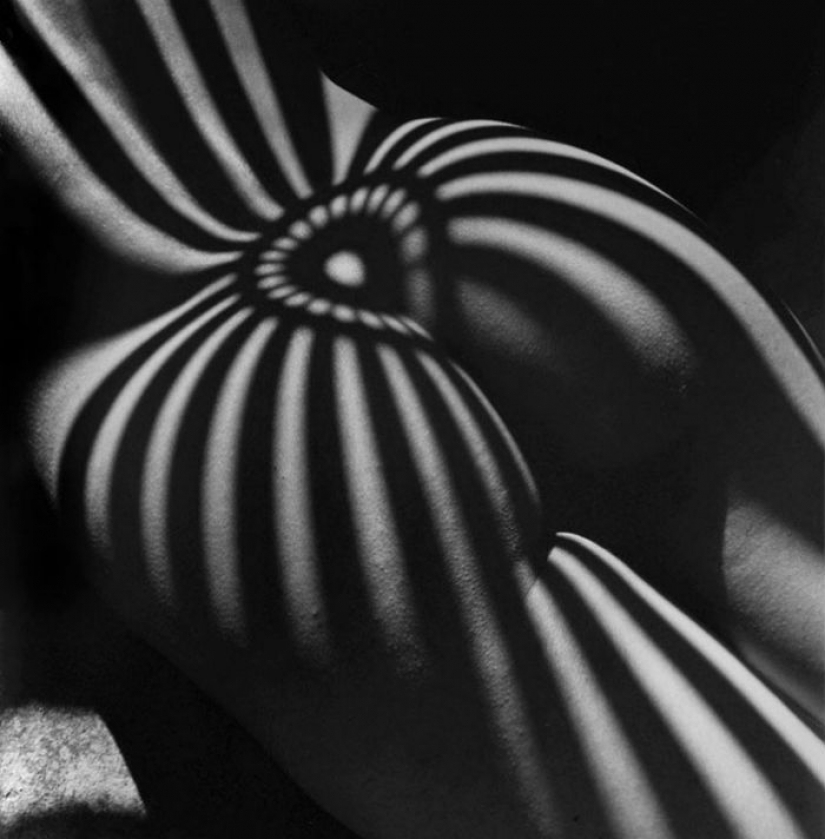 29 creative photographers who can play with shadows 29 creative photographers who can play with shadows